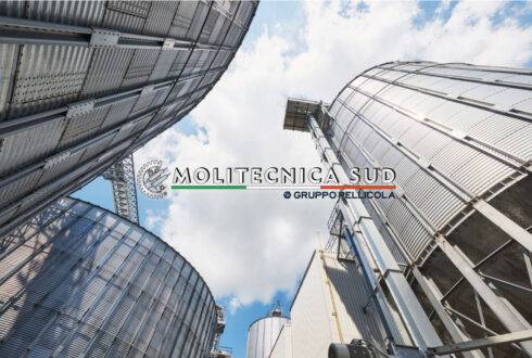 IL SETTORE MOLITORIO