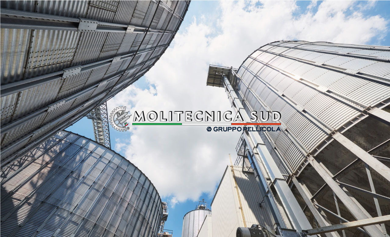 IL SETTORE MOLITORIO